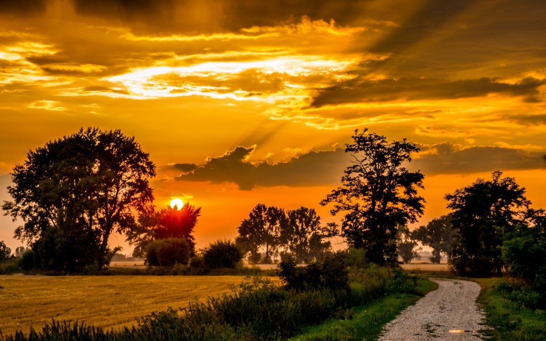 Náhodná landscape